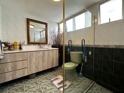 Amber Point (D15), Condominium #566103221